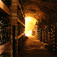 2017_srpen_SUTTO Wine